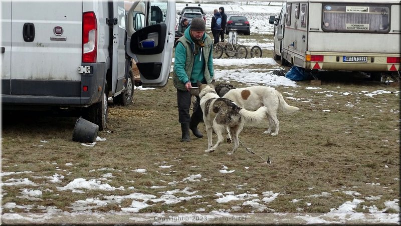2023_03_husky093.jpg