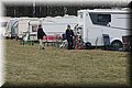 husky149.jpg