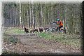 husky270.jpg
