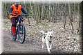 husky291.jpg