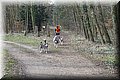 husky316.jpg